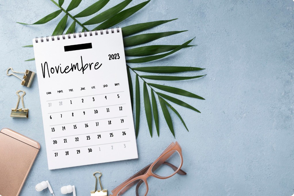 Spiral-bound November calendar flat lay with palm leaf, glasses, and gold clips